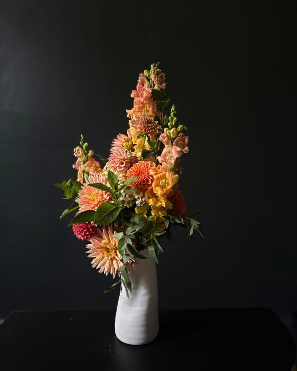 dahlia daily