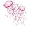 Jelly Fish - Locally made