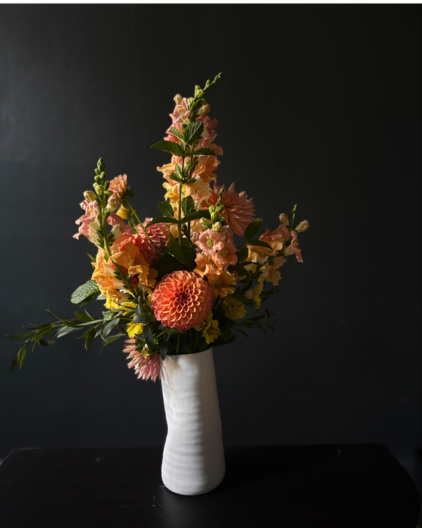 dahlia daily