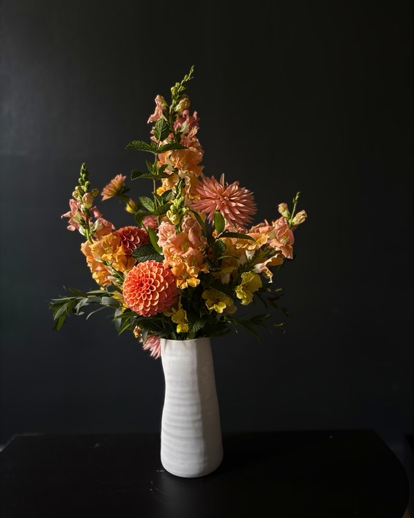dahlia daily