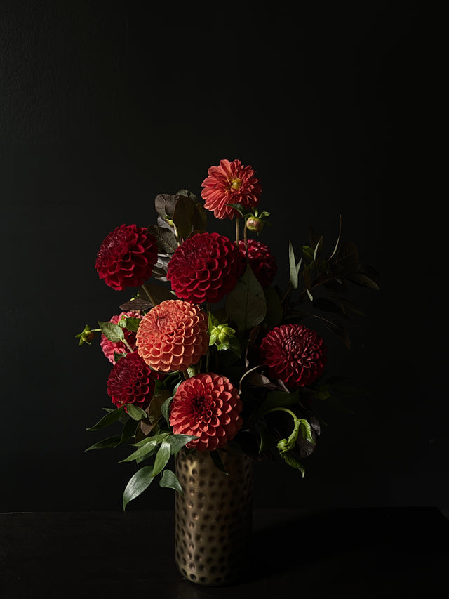 dahlia daily