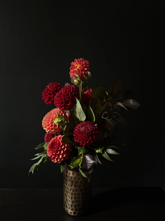 dahlia daily