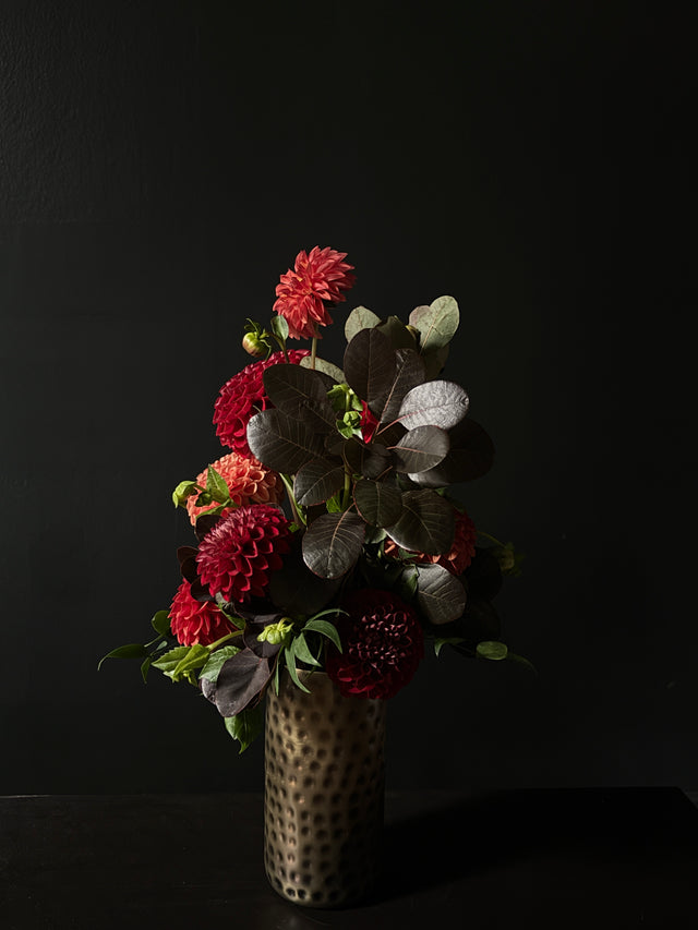 dahlia daily