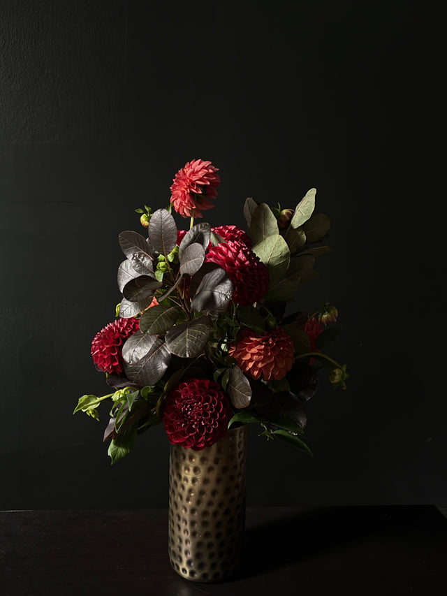 dahlia daily