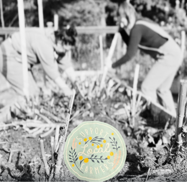 Black and white photo of flower farmers working in the garden at Mod & Liv, a sustainable flower farm in Bellingham, WA